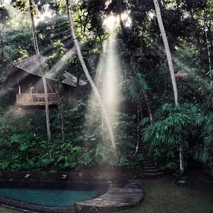  Lodge Bamboo Turtles Indonesia